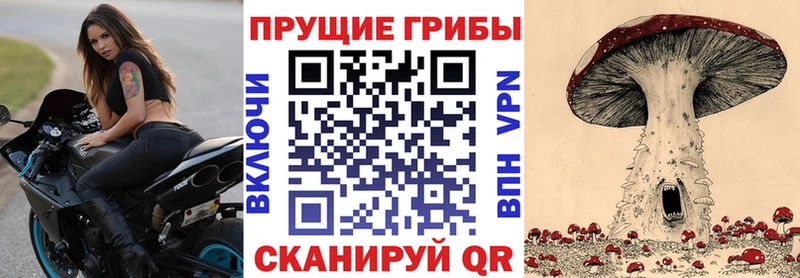 Галлюциногенные грибы Cubensis Рославль